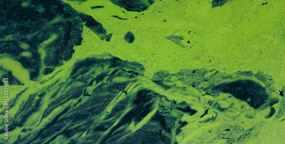 A Backdrop of Vibrant Colors, Texture, and Gold Elements A Backdrop of Vibrant Colors, Texture, and Gold Elements