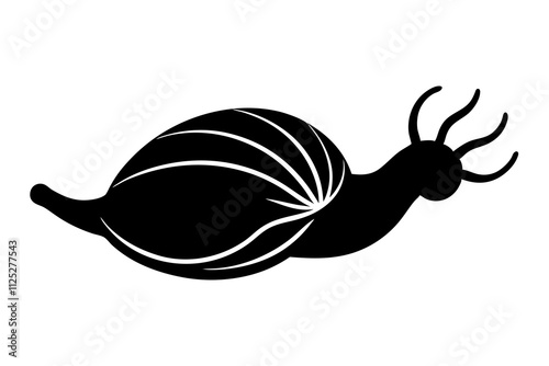 aquatic animal mollusk silhouette photo