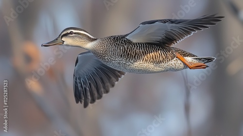 A duck flying through the air with its wings spread