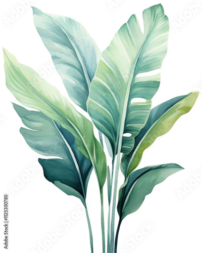 Lush Tropical Leaves Illustration