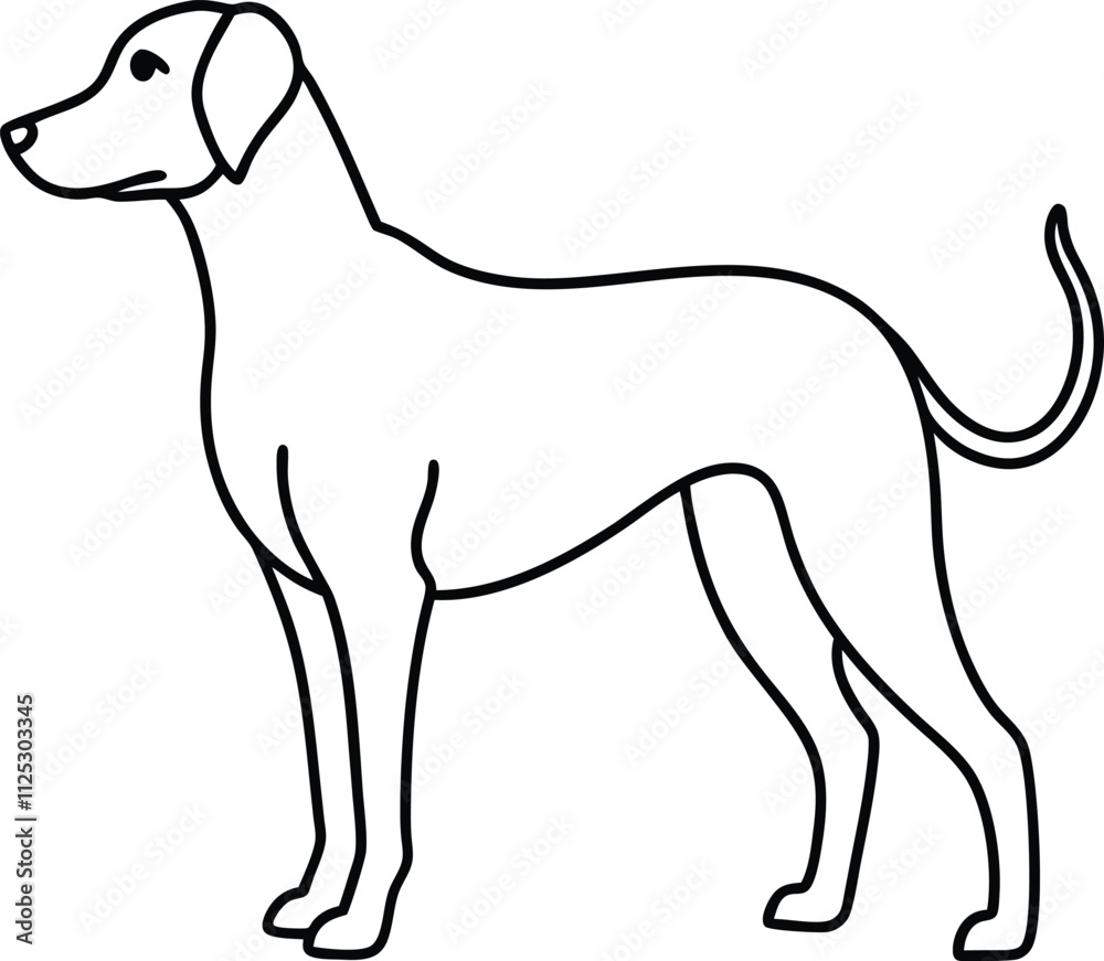 dog isolated on white background, line art dog isolated on white background, line art