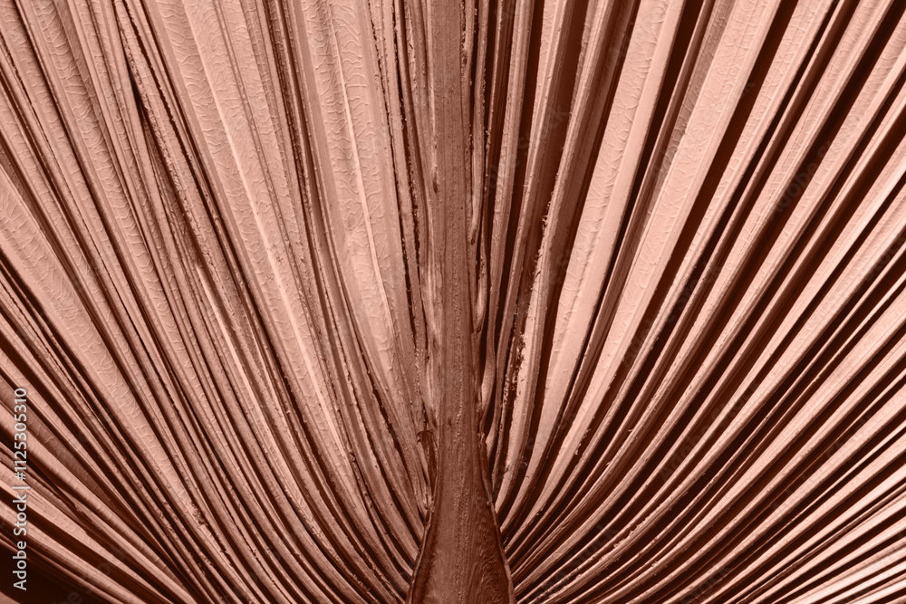 Obraz premium Demonstrating Mocha mousse color of the year 2025. Abstract brown floral wallpaper background. Palm leaf closeup.