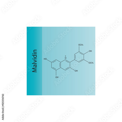Malvidin skeletal structure diagram.anthocyanin compound molecule scientific illustration.