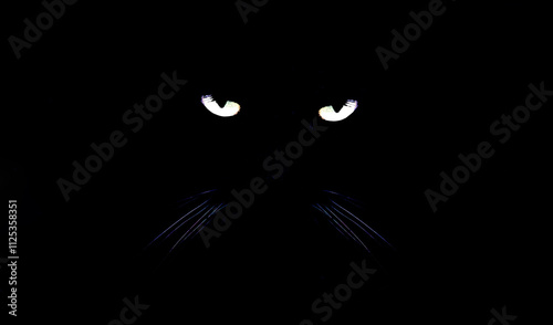 Billede på lærred Stray black with yellow eyes tabby kitty. Abandoned shorthair cat