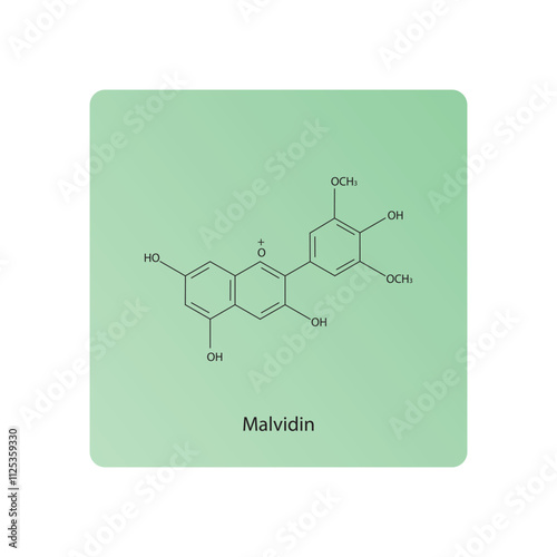 Malvidin skeletal structure diagram.anthocyanin compound molecule scientific illustration.