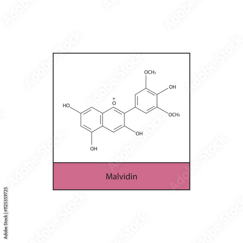 Malvidin skeletal structure diagram.anthocyanin compound molecule scientific illustration.