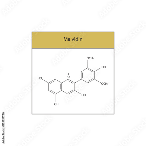 Malvidin skeletal structure diagram.anthocyanin compound molecule scientific illustration.