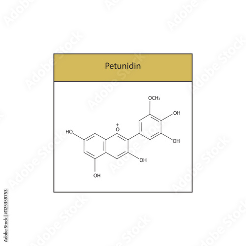Petunidin skeletal structure diagram.anthocyanin compound molecule scientific illustration.