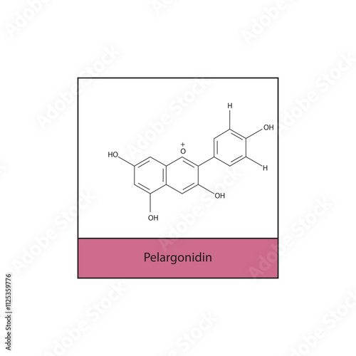 Pelargonidin skeletal structure diagram.anthocyanin compound molecule scientific illustration.
