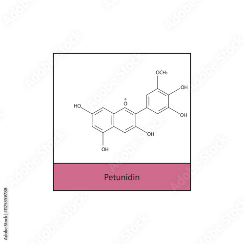 Petunidin skeletal structure diagram.anthocyanin compound molecule scientific illustration.