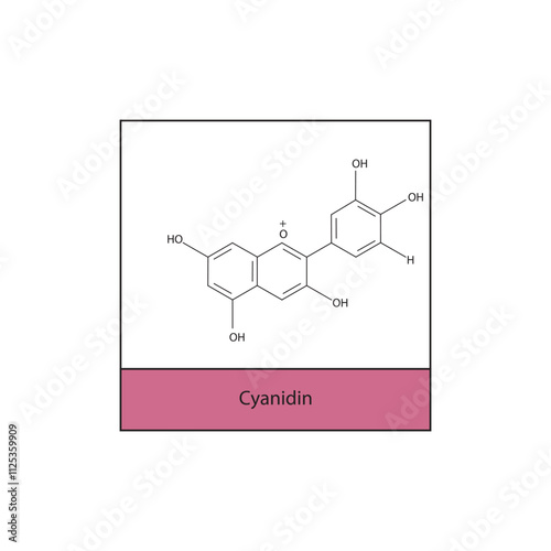 Cyanidin skeletal structure diagram.anthocyanin compound molecule scientific illustration.
