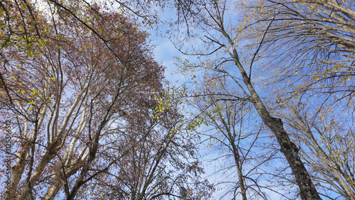 Hiker's point of view along the Parque Termal de Pedras Salgadas