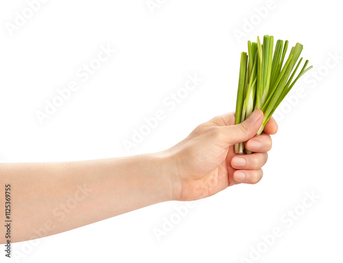 wild garlic in hand path isolated on white
