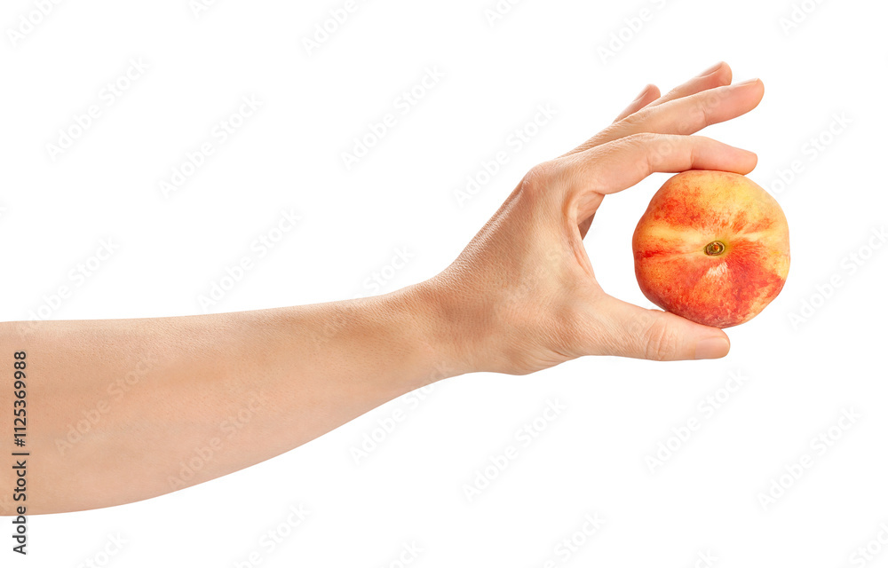 flat peach in hand path isolated on white flat peach in hand path isolated on white