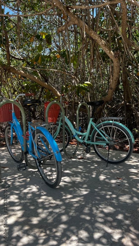 Fototapeta premium bike ride