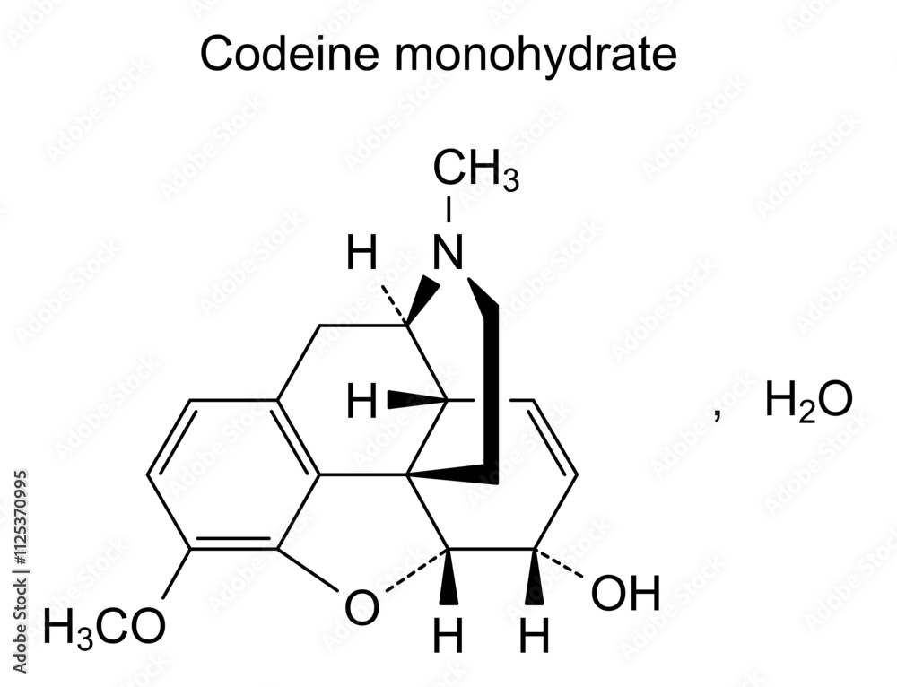 Fototapeta premium Chemical structure of codeine monohydrate, drug substance