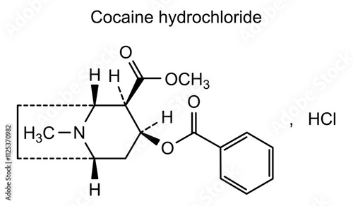 Chemical structure of cocaine hydrochloride, drug substance