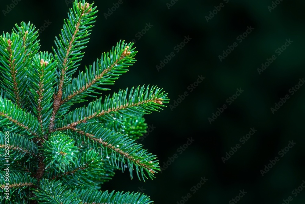 Garland-draped Christmas tree branches amidst falling snow. Garland-draped Christmas tree branches amidst falling snow.