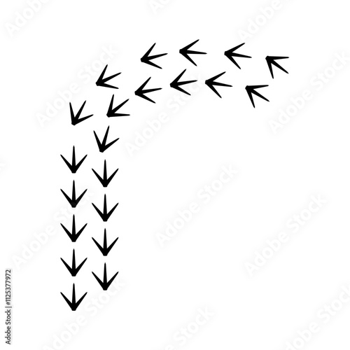 Chicken Footprints