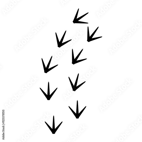 Chicken Footprints
