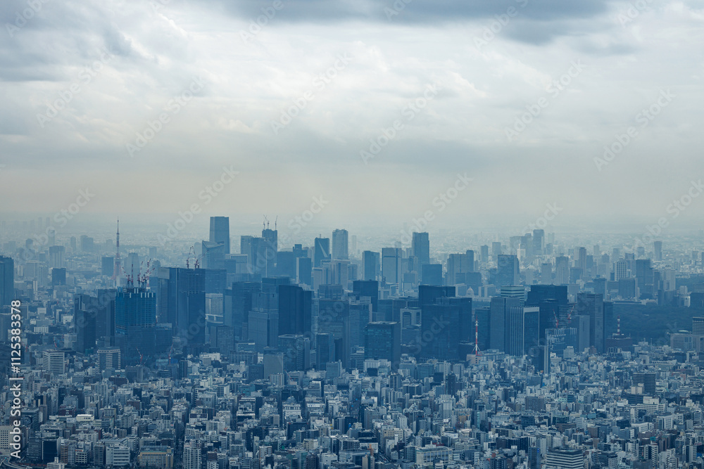 Bustling Tokyo city skyline in a layer of atmospheric haze, Skyscrapers in dusk. Bustling Tokyo city skyline in a layer of atmospheric haze, Skyscrapers in dusk.