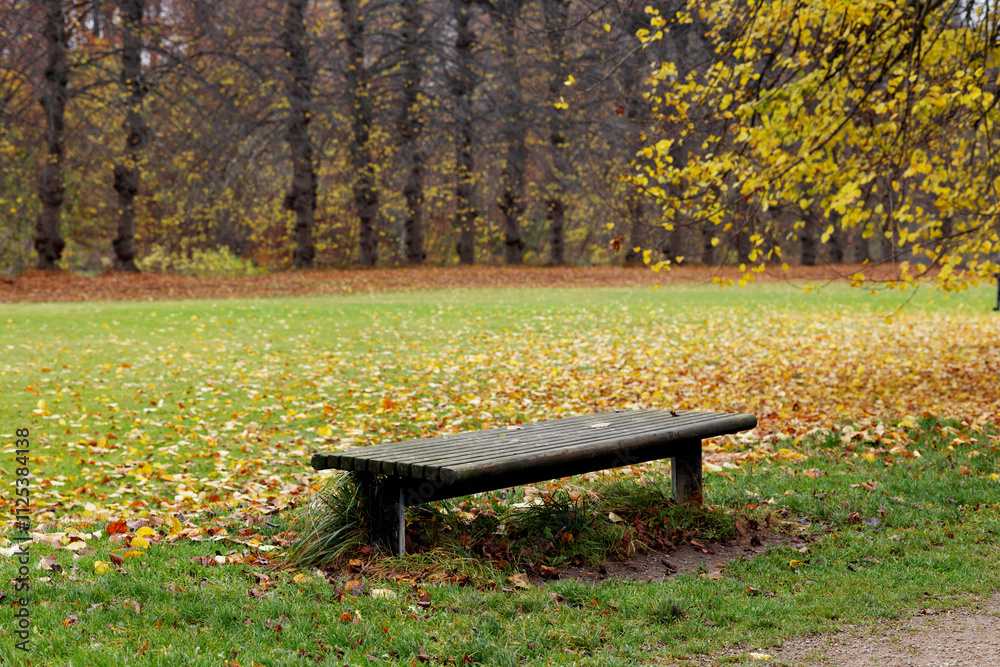 Simple wooden bench by the path along the lawn strewn with yellow leaves Simple wooden bench by the path along the lawn strewn with yellow leaves