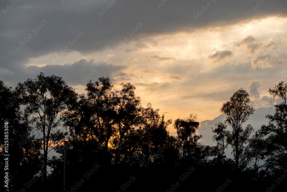 atardecer, cielo, sol, nube, árbol, paisaje, naturaleza, árbol, nube, anochecer, silueta, atardecer, cielo, sol, nube, árbol, paisaje, naturaleza, árbol, nube, anochecer, silueta,