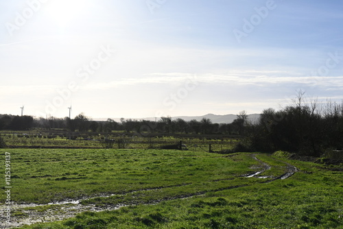 British country farm view stretching out to the sussex downs