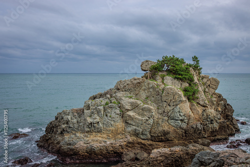 Busan, South Korea - October 17 2024 