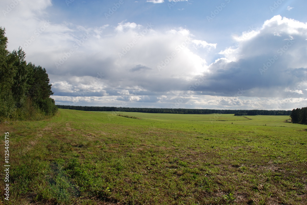 Obraz premium Wide green field. Summer sunny day, low cumulus clouds float across the sky. Ahead is a wide field with green short grass. Tall trees grow along the edges of the field, surrounding it on all sides.
