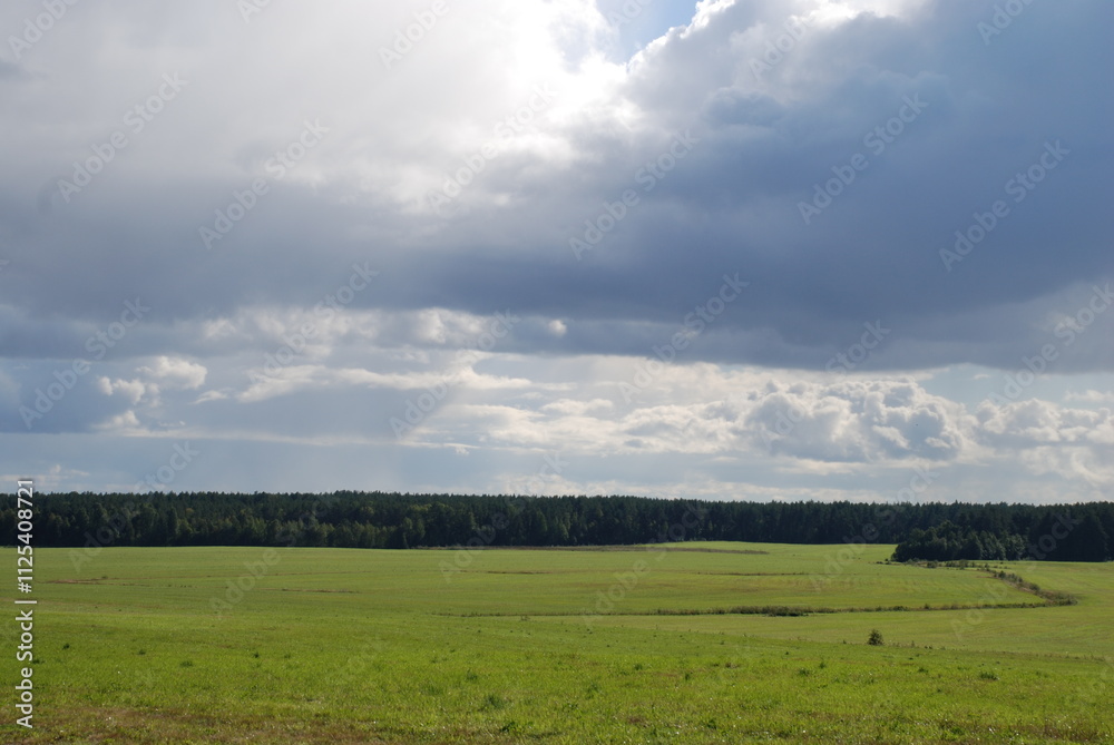 Wide green field. Summer sunny day, low cumulus clouds float across the sky. Ahead is a wide field with green short grass. Tall trees grow along the edges of the field, surrounding it on all sides. Wide green field. Summer sunny day, low cumulus clouds float across the sky. Ahead is a wide field with green short grass. Tall trees grow along the edges of the field, surrounding it on all sides.