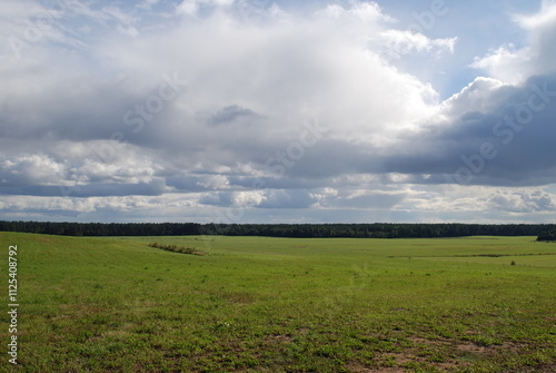 Wide green field. Summer sunny day, low cumulus clouds float across the sky. Ahead is a wide field with green short grass. Tall trees grow along the edges of the field, surrounding it on all sides.