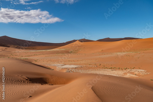 sand dunes in park