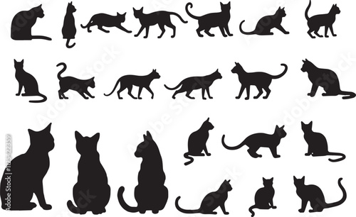 Set of silhouettes of cats on a black and white background. Vector illustration