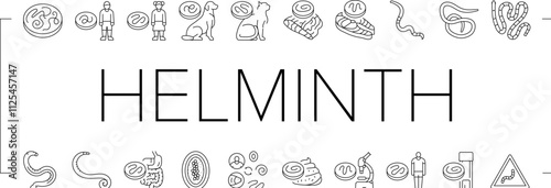 helminth worm parasite roundworm icons set vector. dog tapeworm, heart helminth ascaris, internal cat, nematode pet, pinworm giardia helminth worm parasite roundworm black contour illustrations