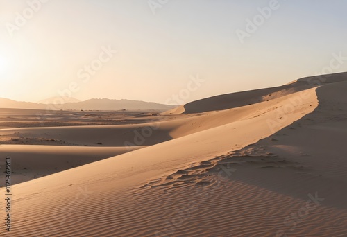 sunset in the sand