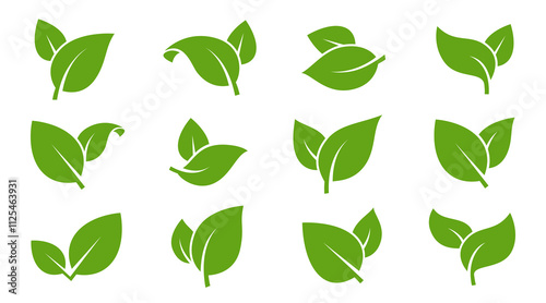 Eco green color leaf vector logo flat icon set. Isolated leaves shapes on white background. Bio plant and tree floral forest concept design.