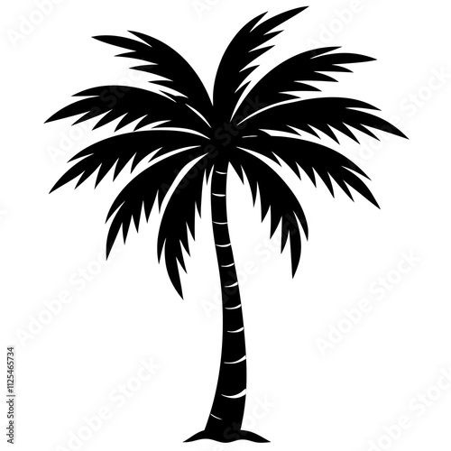 palm tree silhouette