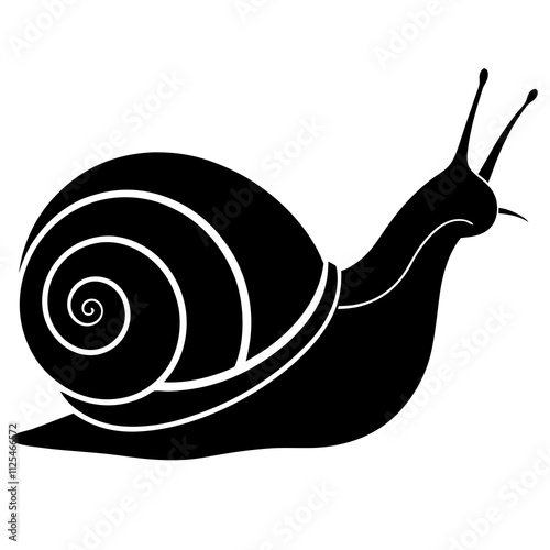 snail isolated on white