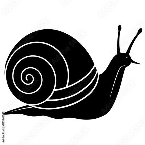 snail