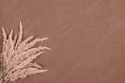 Spikelets on a mocha mousse colored concrete background photo