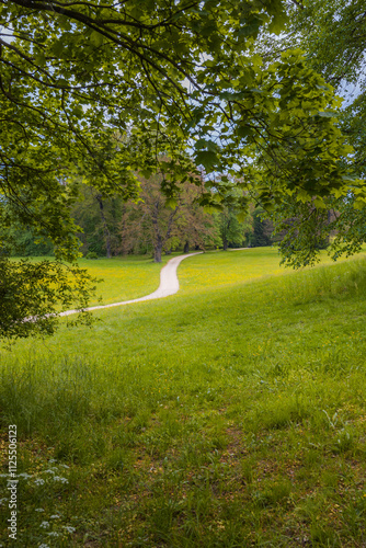 Winding Path Through a Serene Green Meadow Framed by Tree Branches