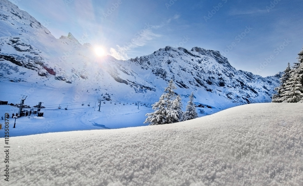 Fototapeta premium Winter mountain scene with clear skies and snowy trees.