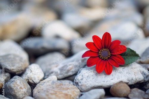 A bright red flower sits atop a rocky outcrop, surrounded by natural beauty
