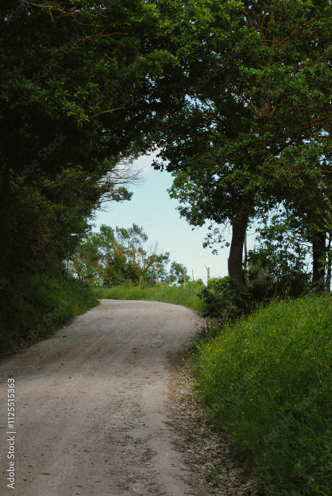 Gravel road located outside Montone, Umbria, Italy. Gravel road located outside Montone, Umbria, Italy.
