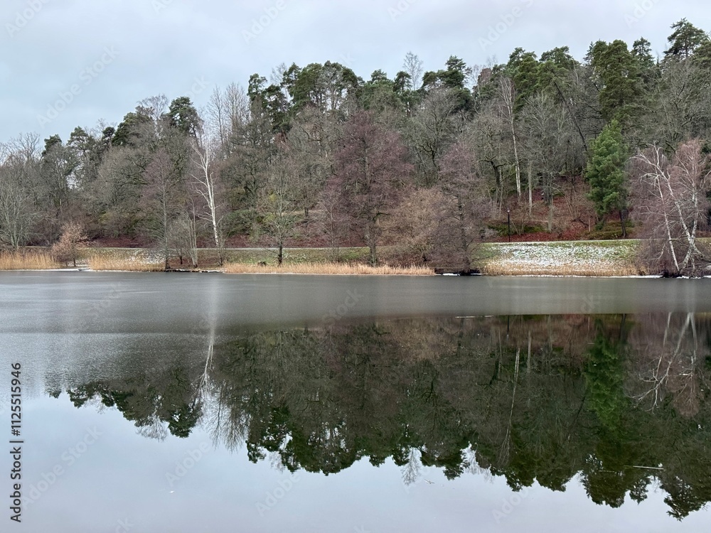 Ice on the lake with trees being reflected in the water Ice on the lake with trees being reflected in the water