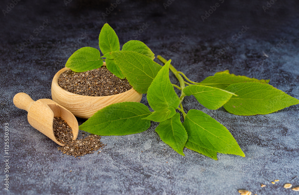 Chia plant and chia seeds are a flowering plant from the mint family, native to central and southern Mexico.