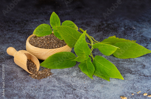Obraz na płótnie Chia plant and chia seeds are a flowering plant from the mint family, native to central and southern Mexico. w salonie