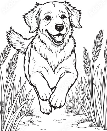 Golden Retriever Running joyfully through tall golden wheat.