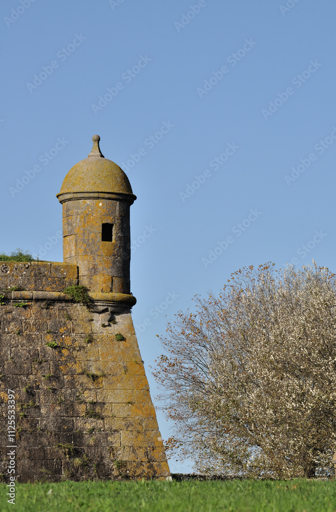 Fototapeta premium Tower of the castle of Santiago da Barra, located in the city of Viana do Castelo in the north of Portugal, medieval structure